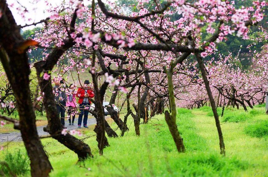 魔法季节沉睡大地